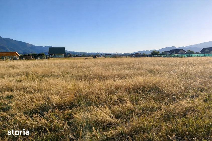 Teren de 1000 mp, în Glăjărie