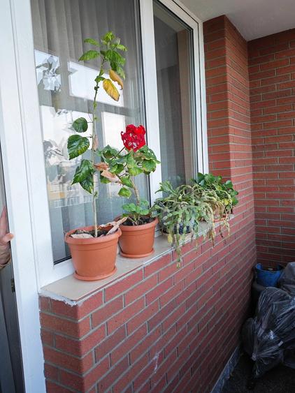 Apartament cu 3 camere decomandat în Rahova