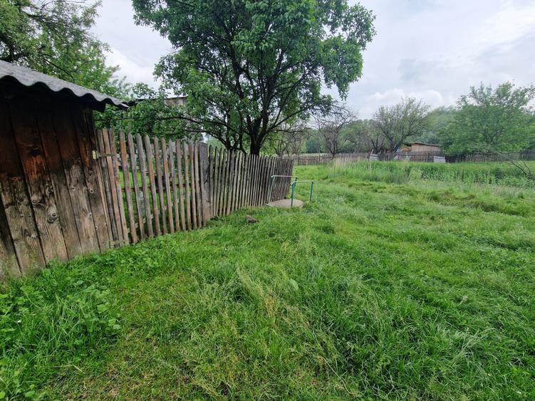 Teren Construcții intravilan de 9603 mp, în Topolița