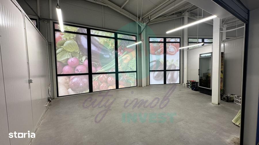 Spatii comerciale de inchiriat in PIATA DELFINULUI - 7