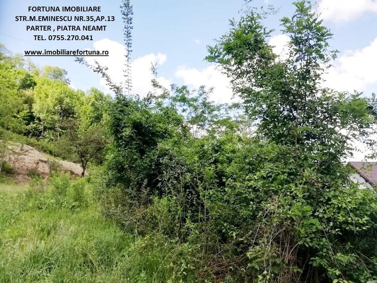 Teren Construcții intravilan de 2000 mp, în Dărmănești