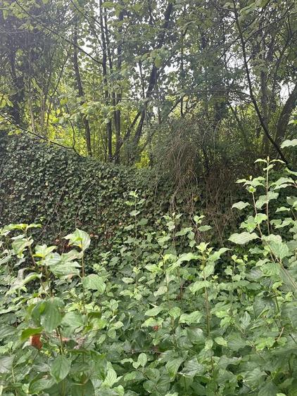 De vanzare teren cu casa de renovat Dej central - 3