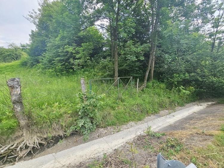 Teren intravilan lângă pădure – 1659 mp,  C.U. P+2E, Vărbilău - 10