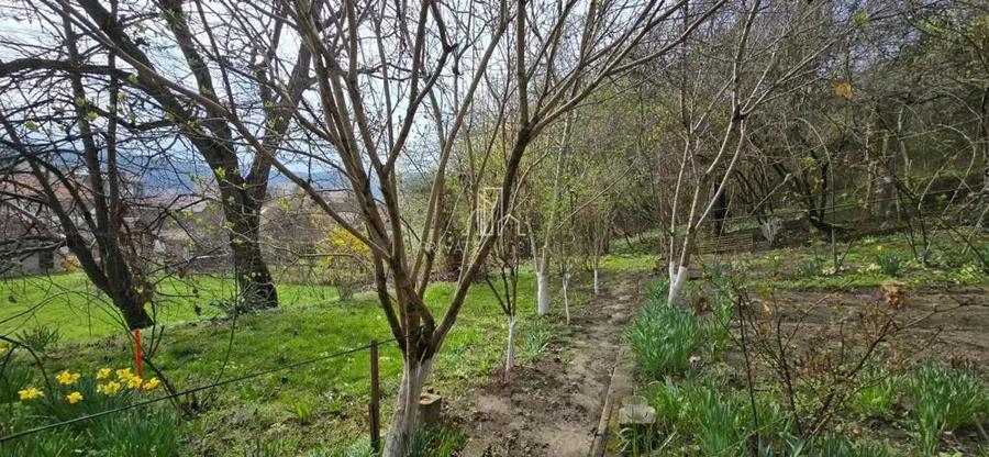 Casa de vanzare zona Viilor, Sighisoara - 1