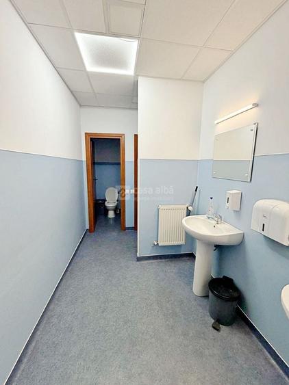 Pacurari - Metro, hala si birouri 1800mp, inchiriere expres - 4