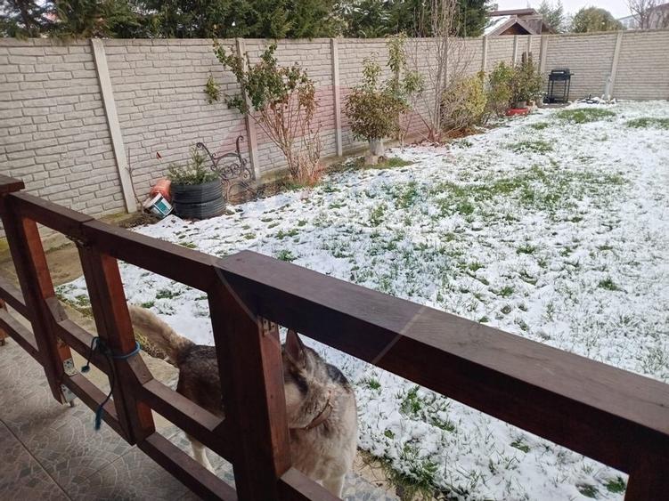 SE VINDE O SUPERBA VILA DUPLEX IN VIA CARMINA!! - 39