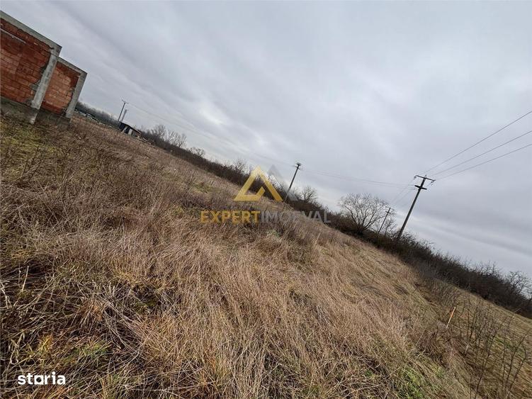 Teren de vanzare Sasar str. Primaverii - 5