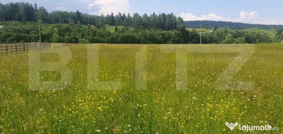 Teren 10.000 mp, intravilan, zona Neagra Sarului - 6