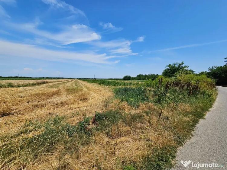 Teren intravilan - 8