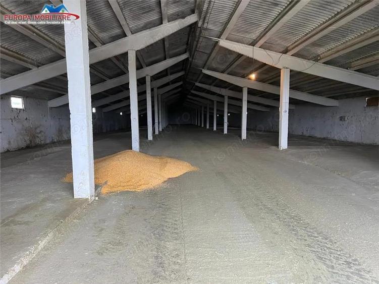 Hale de inchiriat localitatea M. Kogalniceanu Tulcea - 9