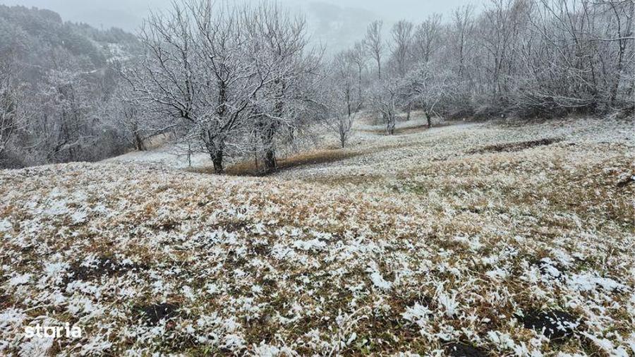 Vand teren Secaria, PH, 9380m2 - 1