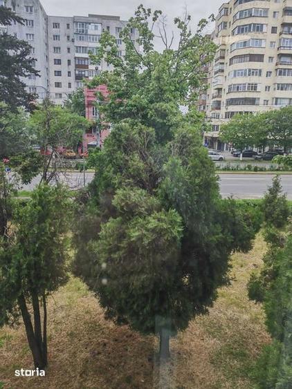 Apartament 3 camere - 8