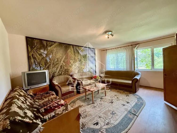 Casa individuala, teren 4000 mp, Cebza - 9