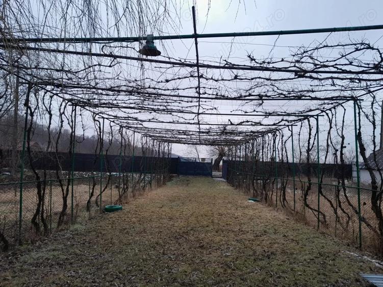 Casa + teren 5000 mp, Podoleni, Neam? - 2