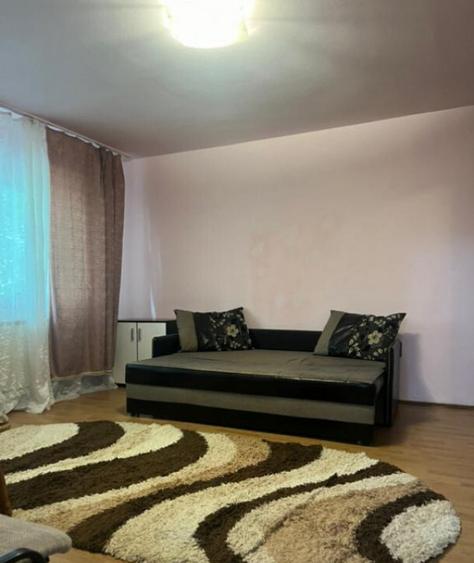Apartament cu o camera Sagului - 2