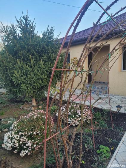 casa de vanzare - 2