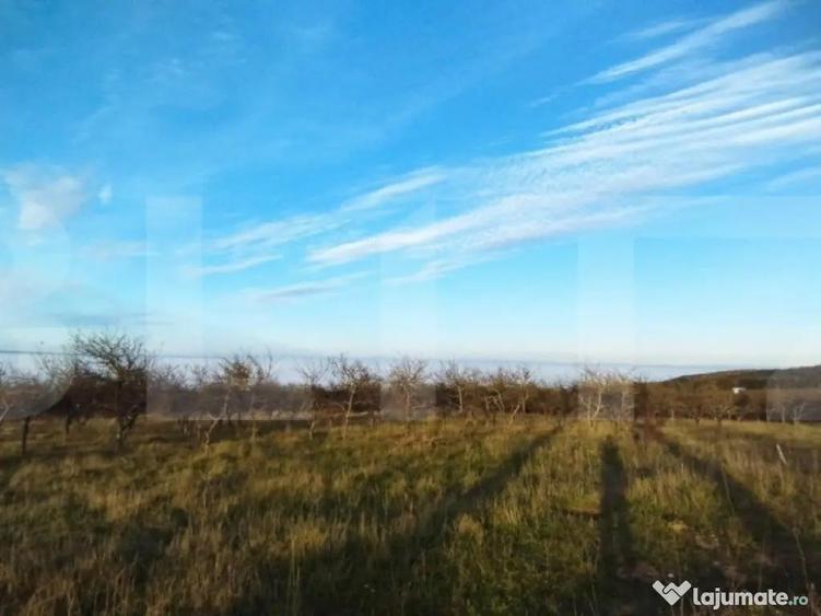 Teren PUZ finalizat, zona Wonderland, pt casa individuala sa - 1