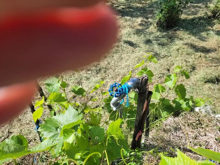 Casa batraneasca laga Vama Albita, Vaslui - 4