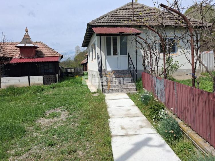 Casa renovata complet, 3068 mp teren, langa Manastirea - 5