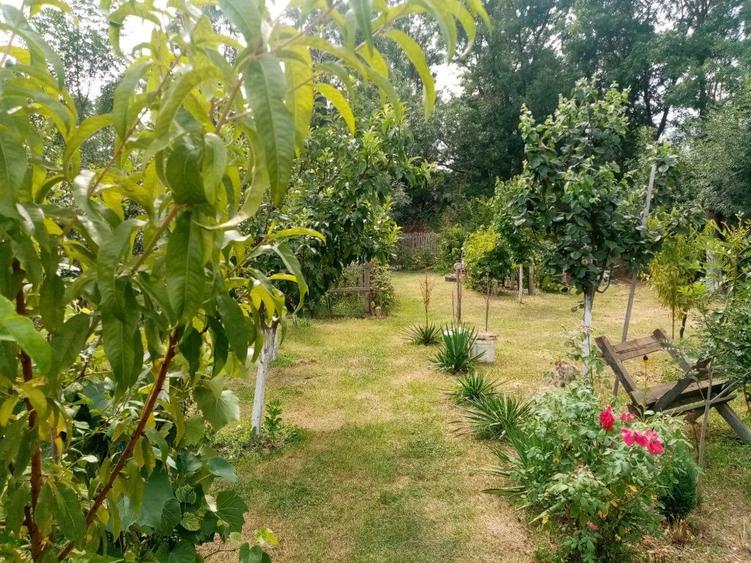 Casa 3 camere constructie 2017 - 7