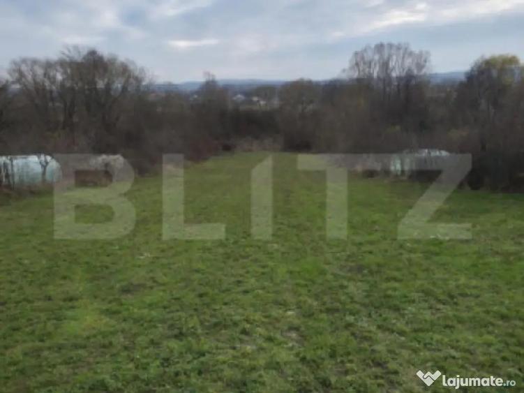 Teren intravilan 3000mp ,sat Plopu, Prahova - 2