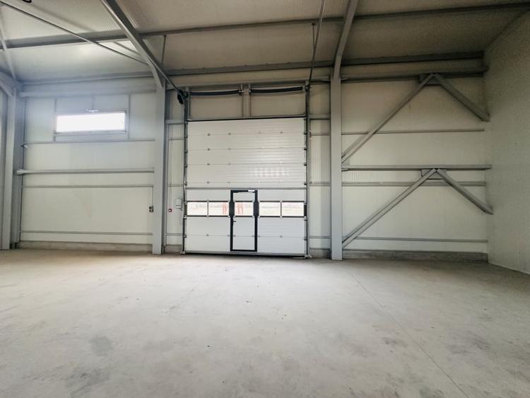Hala industriala nouă, 386 mp, teren 900 mp, Domnești-Centura - 6