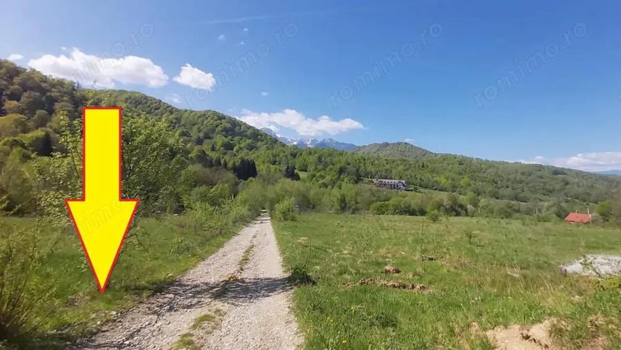 Vanzare 1266 mp teren superb Cheile Rasnoavei la munte langa padure si pensiuni - 4