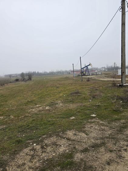 Teren Priseaca/Dragomiresti - 3
