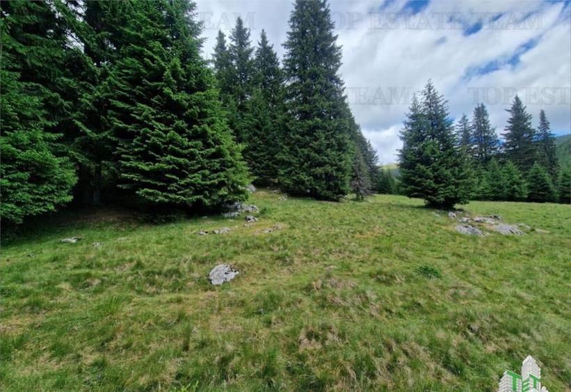 Teren intravilan de in Dambovita / Padina/ Muntii Bucegi - 2