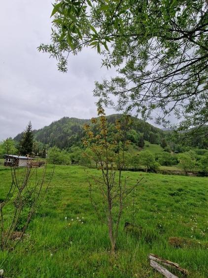 Teren intravilan - Rucar - Satic - 1775 mp - la strada principala - deschidere - 5