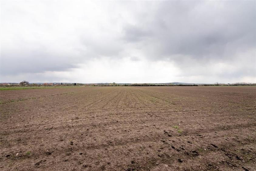 RECO . TEREN INTRAVILAN OSORHEI - 11