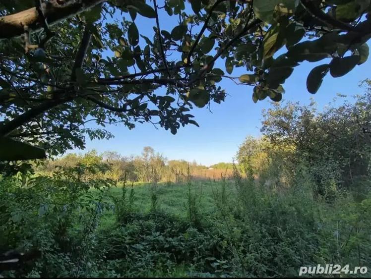 Casa batraneasca - 3