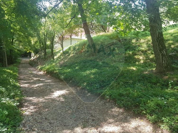 1.72 ha TEREN DE VANZARE - Seini - 2