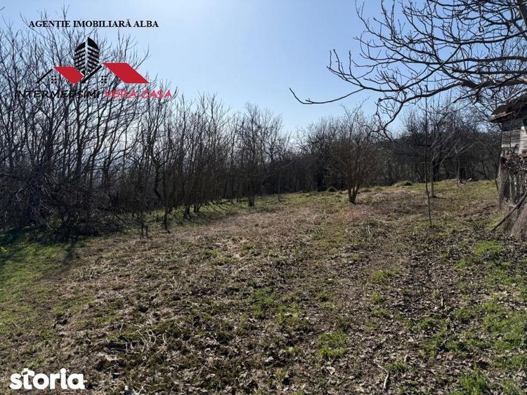 Casa si anexe cu un teren de 7701 mp de vanzare in Stauini Jud Alba - 14