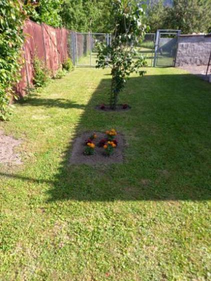 Casa zona ultracentrală, vis-a-vis PENNY Săcele, 2000 mp - 7