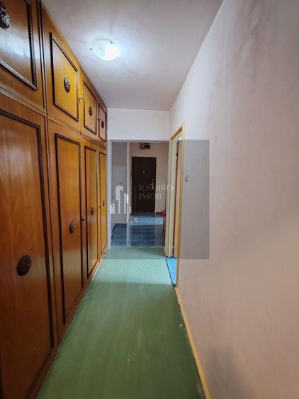 APARTAMENT 3 CAMERE, DRISTOR/BABA NOVAC, DECOMANDAT - 7
