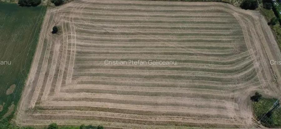 De vanzare teren extravilan Calea Feldioarei, 10.000 mp De vanzare teren extravilan Calea Feldioarei, 10.000 mp