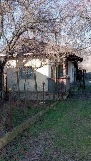 Gospodarie la tara - 5
