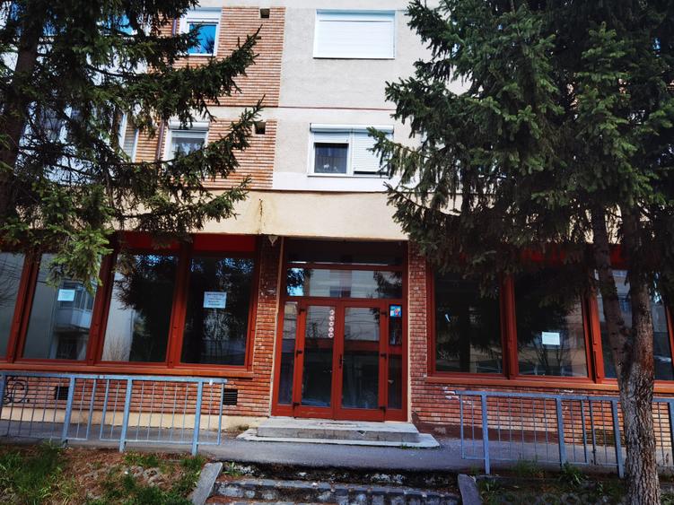 Spații Comerciale cu Vitrină Stradală – Vad Premium în Sibiu - 6