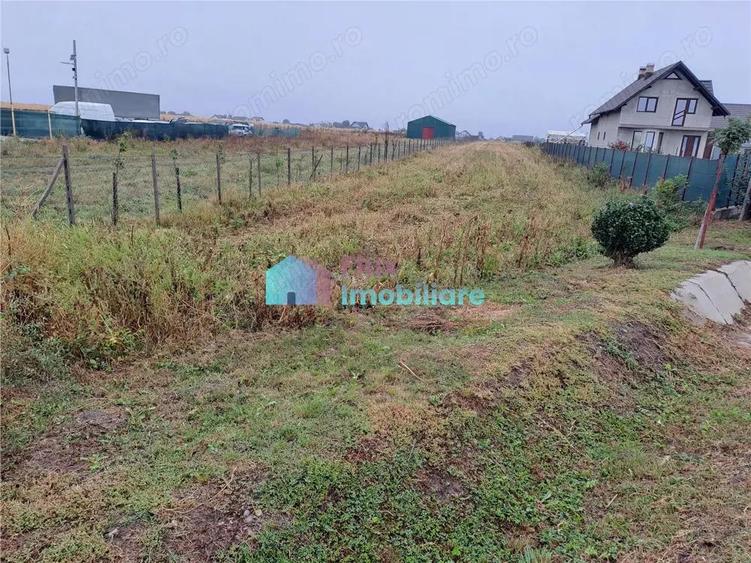 Teren intravilan 2700 mp Dumbraveni - 2