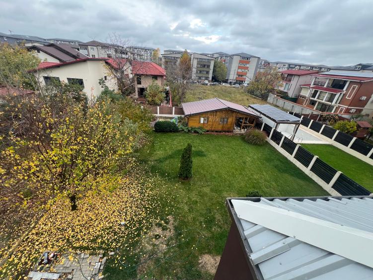 Dimitrie Leonida Metrou - 11