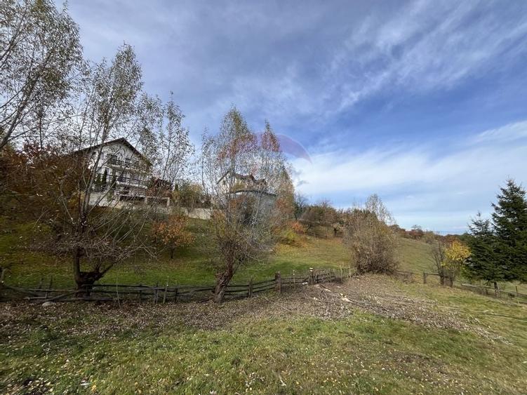 Teren de Vis in Bran - 1000mp Plat, Liniste Absoluta si Aer Curat - 15