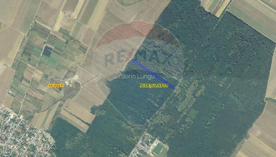 Teren 10,000mp Afumati | Padure | Soseaua Petrachioaia Teren 10,000mp Afumati | Padure | Soseaua Petrachioaia