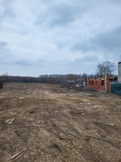 VÂND TEREN ÎN SNAGOV – APROAPE DE PĂDURE, DESCHIDERE GENEROASĂ - 1