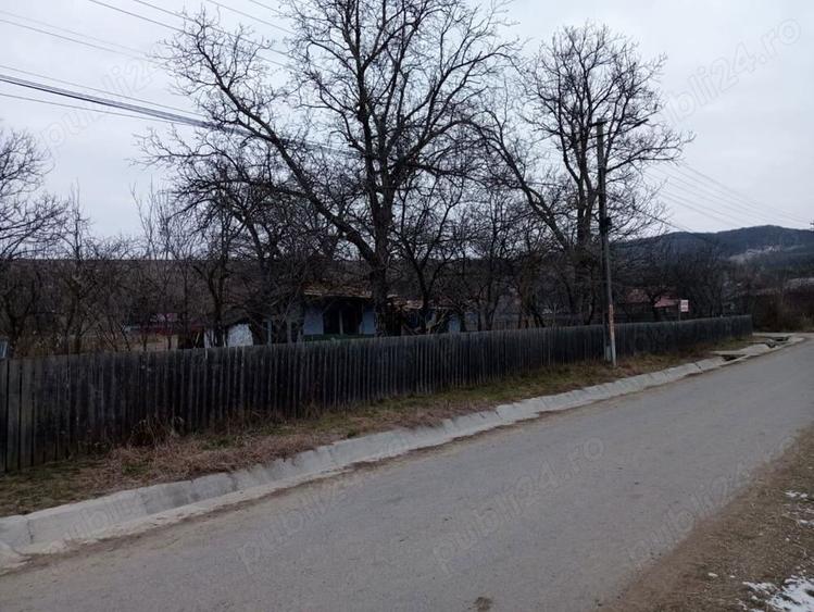 Teren intravilan - 5