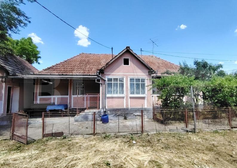 Casa renovabila 2,2 arii taren in Raciu - 20