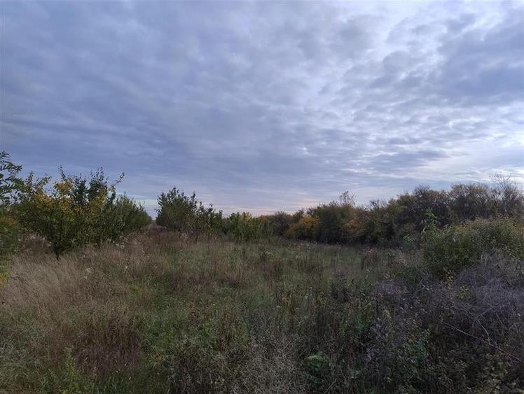 RECO Teren intravilan Miersig - 1