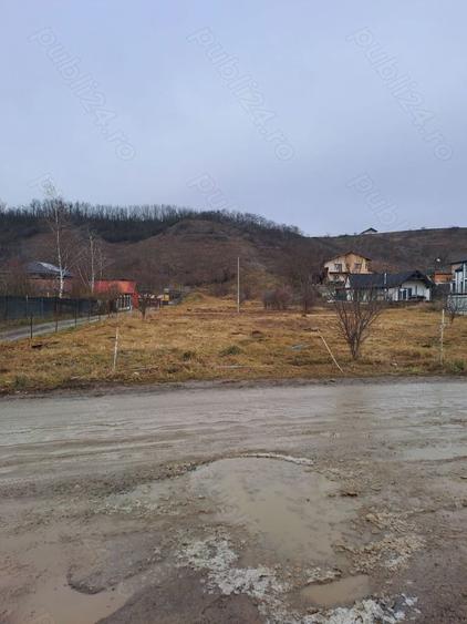 Vanzare teren intravilan pentru constructii in Sannicoara- Sub Coasta com. Apahida, - 4