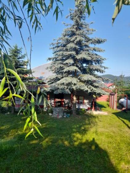 Oferta vânzări imobilec - 1