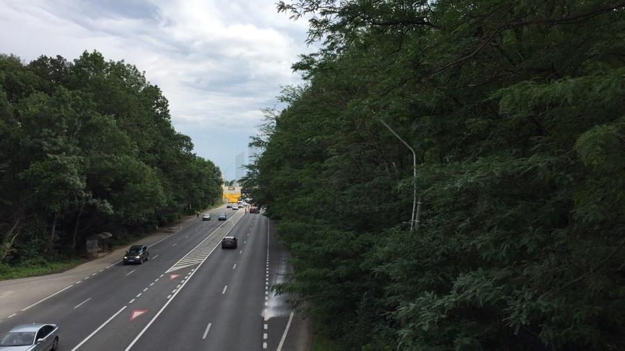 REL4000144 Teren DN1 - Padurea Petresti - 4